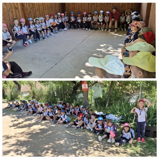 Los más pequeños del cole hemos pasado un gran día en la Granja Escuela "La Limpia" @huertalalimpia 🐇🐓🐑🐖 ¡Hemos disfrutado muchísimo! 😊

#GranjaEscuela #LaLimpia #3Años #Excursión #EducaciónInfantil #SantaCruzGuadalajara